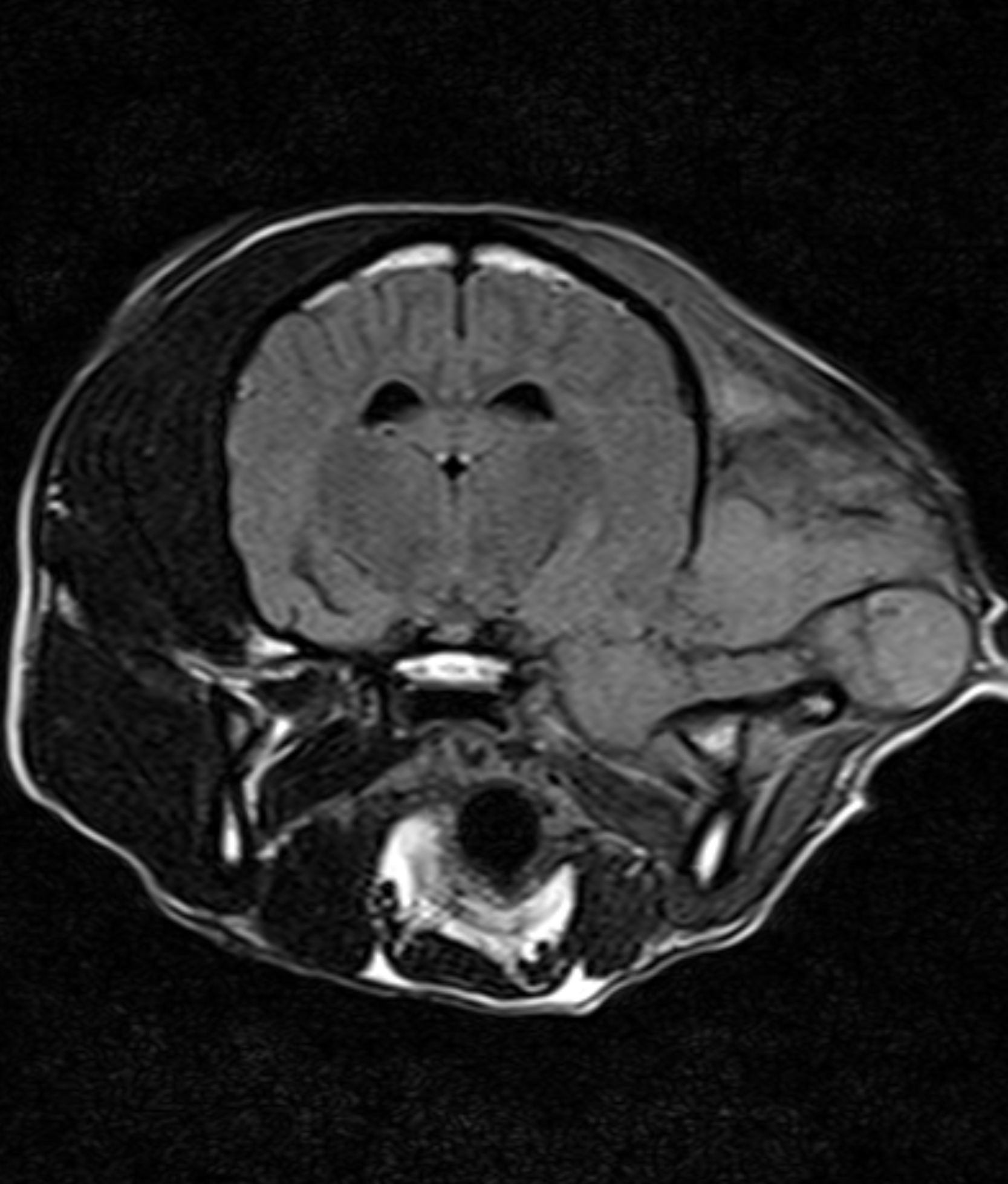 Left Image
