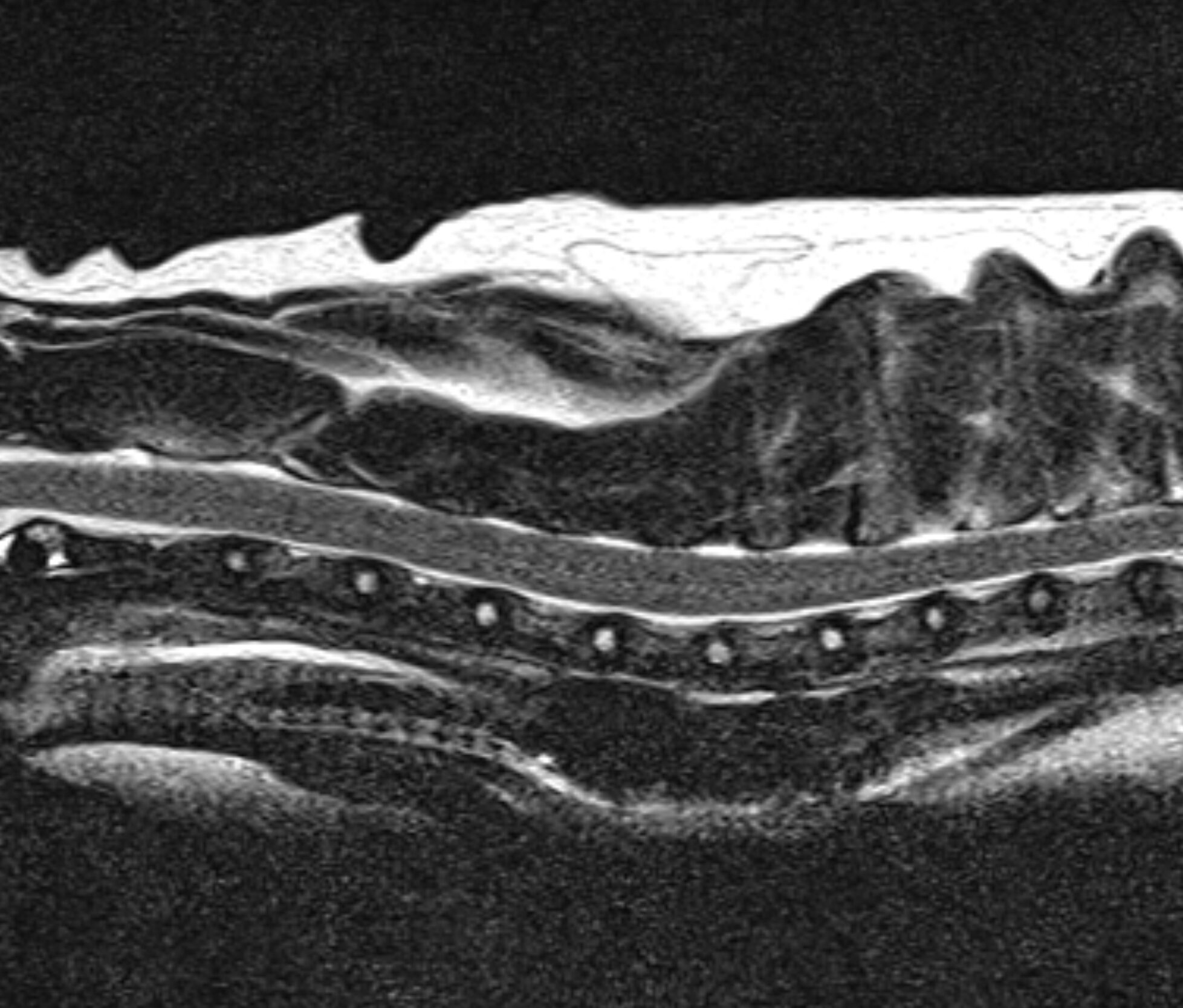 Left Image